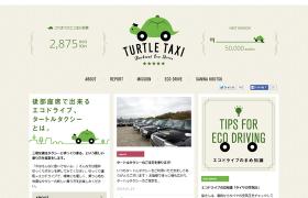 TURTLE TAXI
